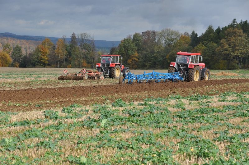 kleiner Feldtag in Harzberg, Bild 22
