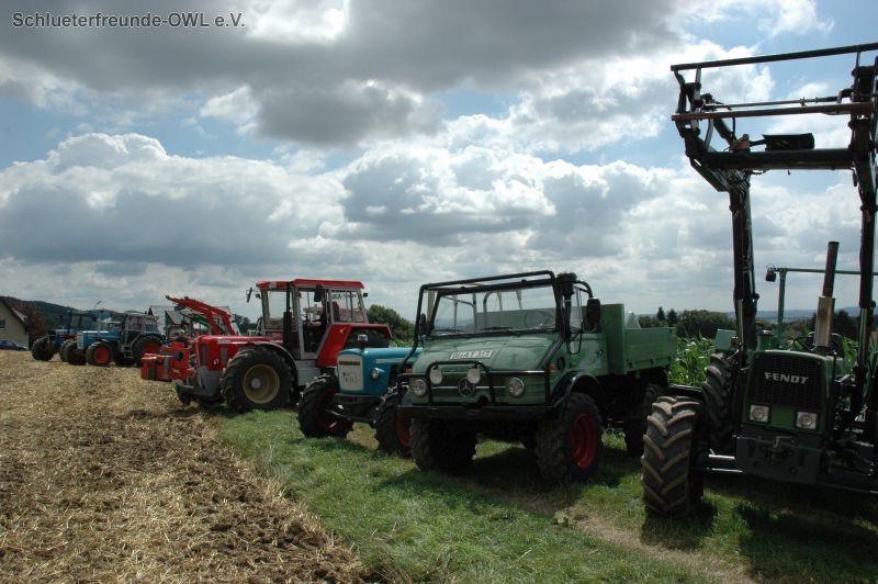 kleiner Feldtag, Bild 41