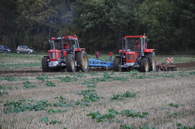 kleiner Feldtag in Harzberg, Bild 23