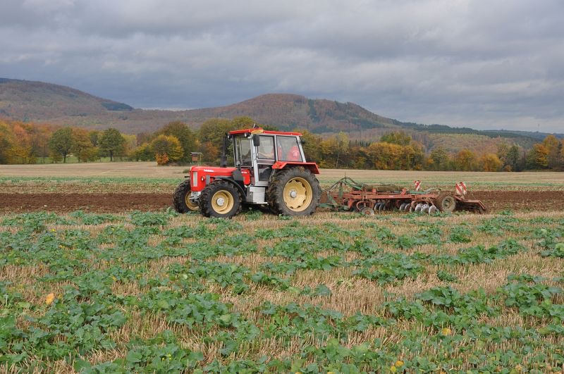 kleiner Feldtag in Harzberg, Bild 25