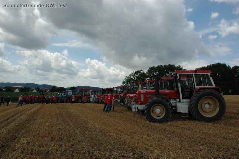 kleiner Feldtag, Bild 46