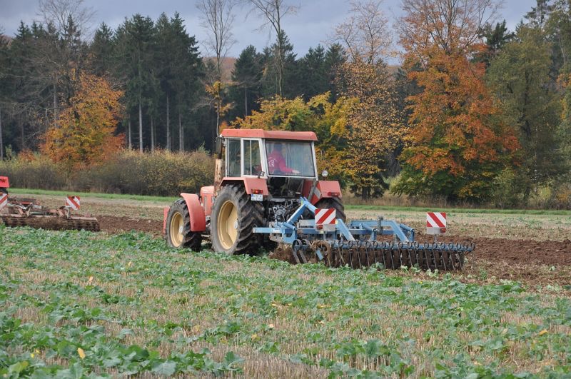 kleiner Feldtag in Harzberg, Bild 28