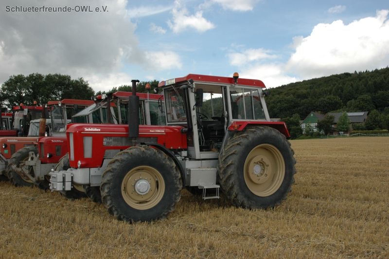 kleiner Feldtag, Bild 47