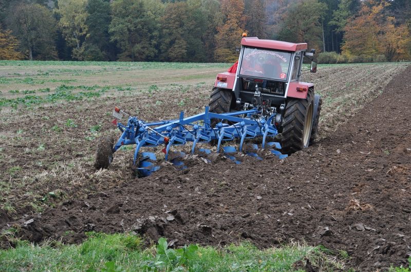 kleiner Feldtag in Harzberg, Bild 30