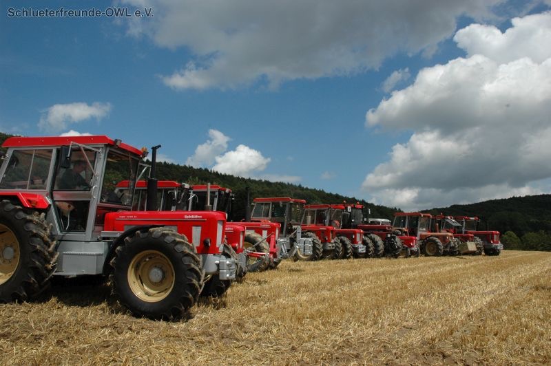 kleiner Feldtag, Bild 48