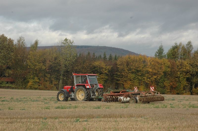 kleiner Feldtag in Harzberg, Bild 31