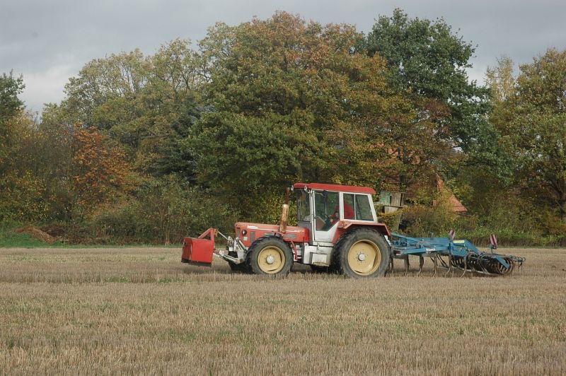 kleiner Feldtag in Harzberg, Bild 32