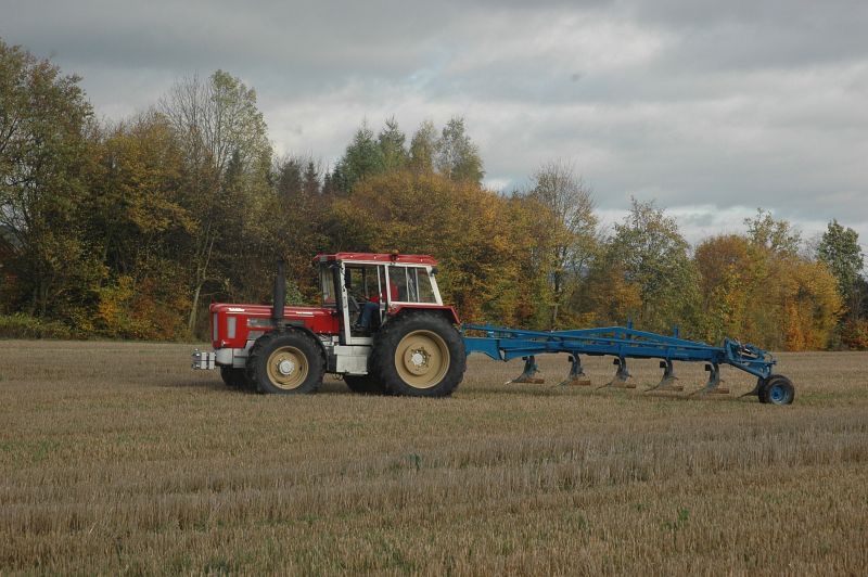 kleiner Feldtag in Harzberg, Bild 33
