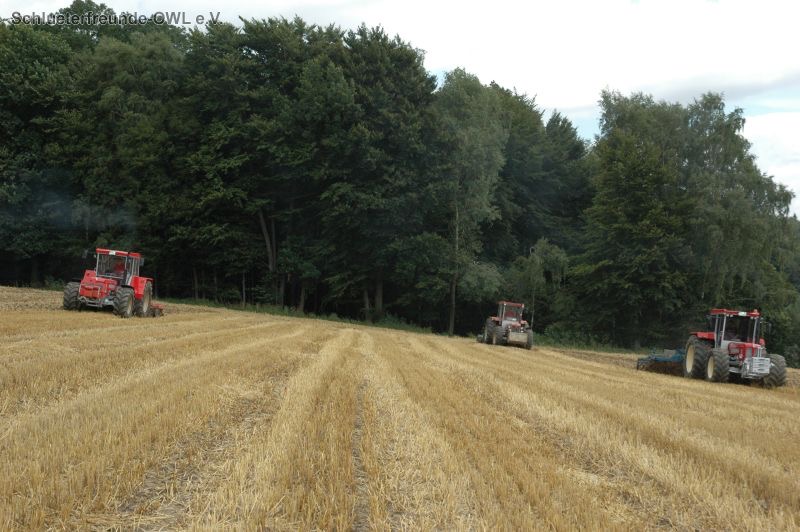 kleiner Feldtag, Bild 50