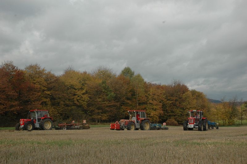kleiner Feldtag in Harzberg, Bild 34