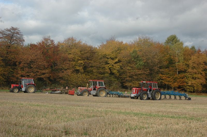 kleiner Feldtag in Harzberg, Bild 35