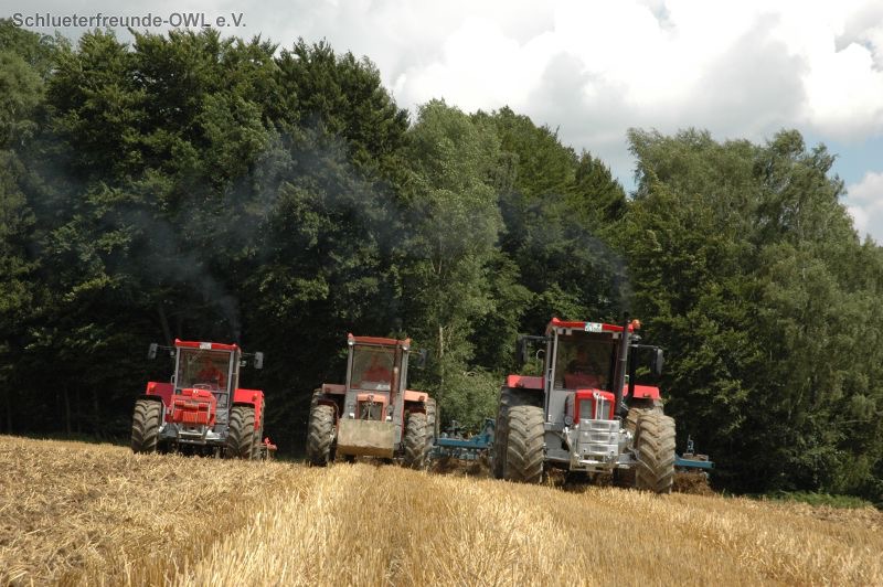 kleiner Feldtag, Bild 52
