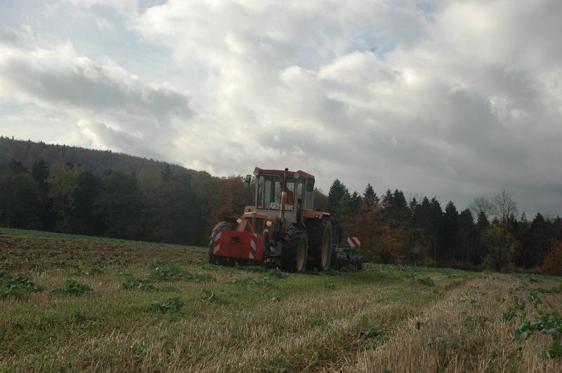 kleiner Feldtag in Harzberg, Bild 37