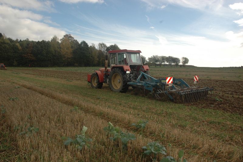 kleiner Feldtag in Harzberg, Bild 38