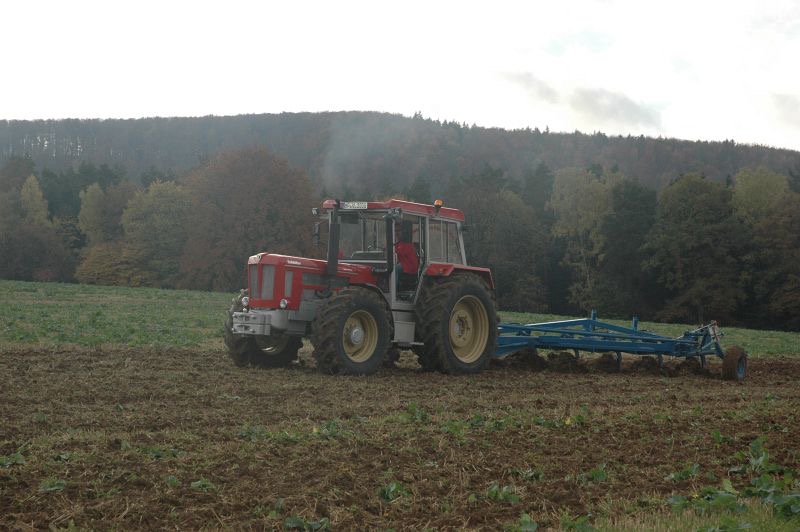 kleiner Feldtag in Harzberg, Bild 39