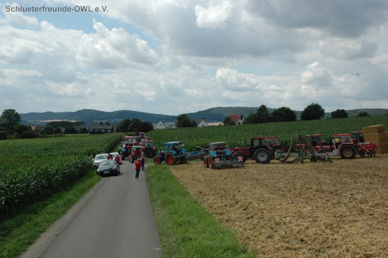 kleiner Feldtag, Bild 56