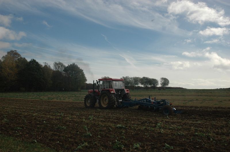 kleiner Feldtag in Harzberg, Bild 40