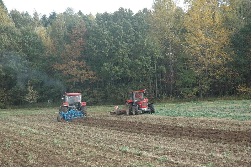 kleiner Feldtag in Harzberg, Bild 41
