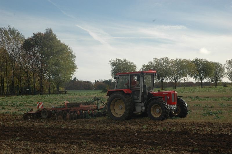 kleiner Feldtag in Harzberg, Bild 42