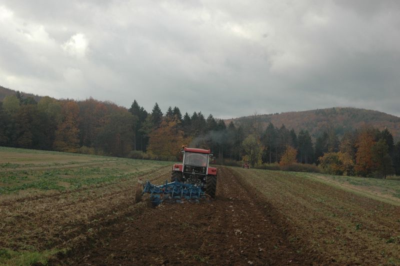 kleiner Feldtag in Harzberg, Bild 43