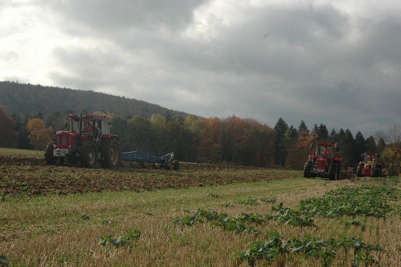 kleiner Feldtag in Harzberg, Bild 44