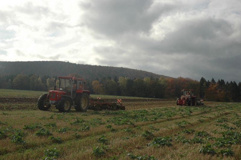 kleiner Feldtag in Harzberg, Bild 45