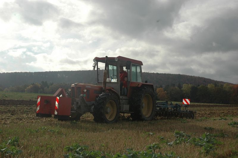 kleiner Feldtag in Harzberg, Bild 46