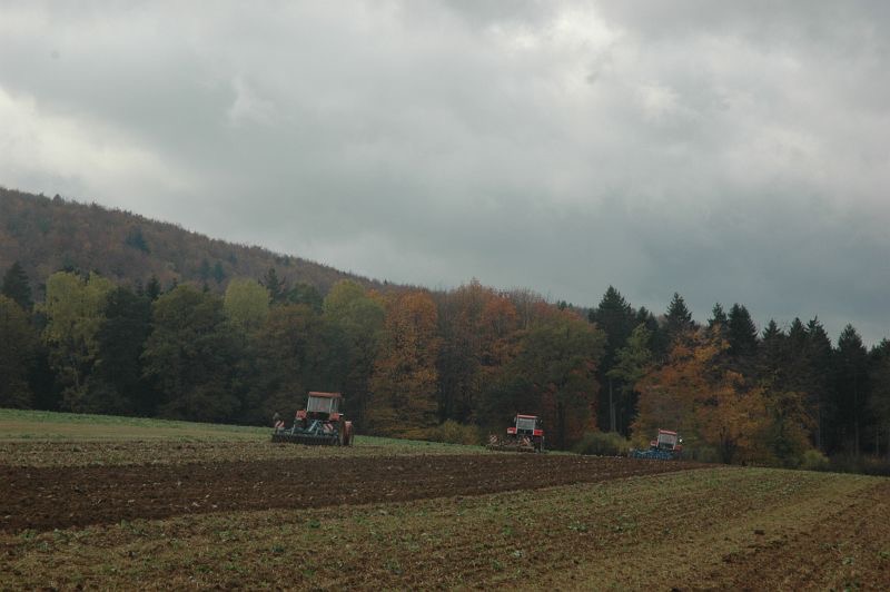 kleiner Feldtag in Harzberg, Bild 47
