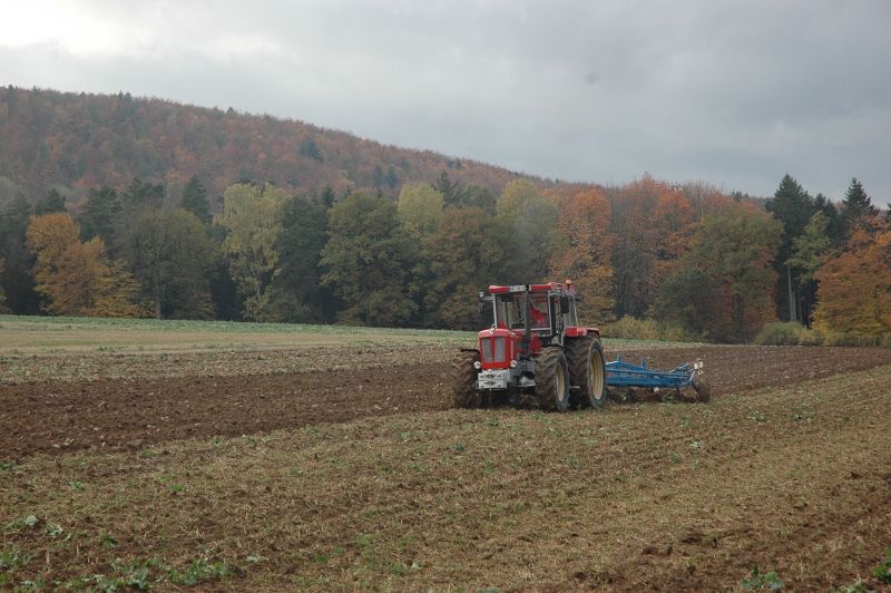 kleiner Feldtag in Harzberg, Bild 48