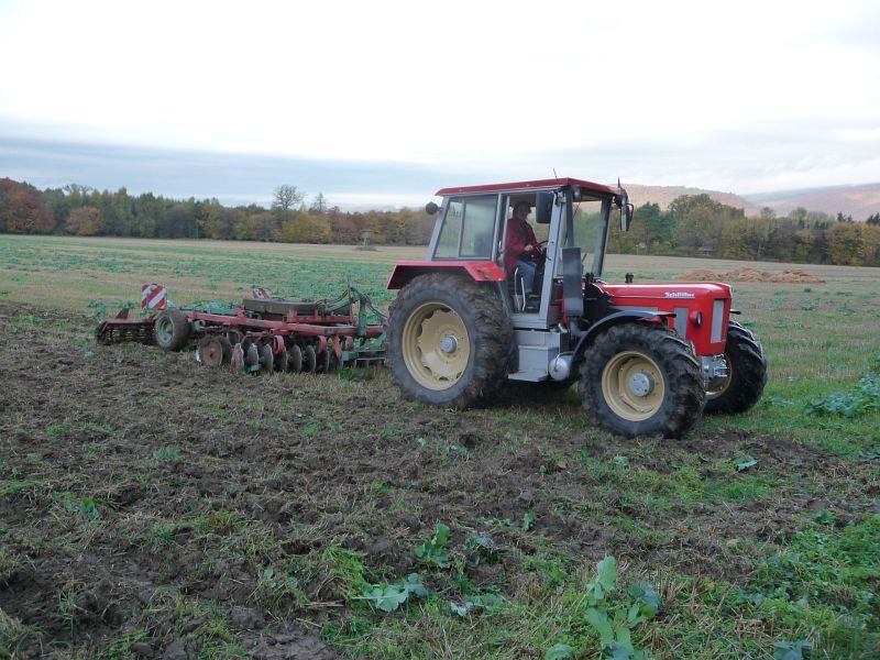 kleiner Feldtag in Harzberg, Bild 57