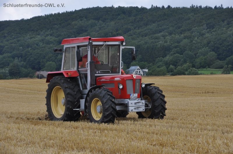 kleiner Feldtag, Bild 57