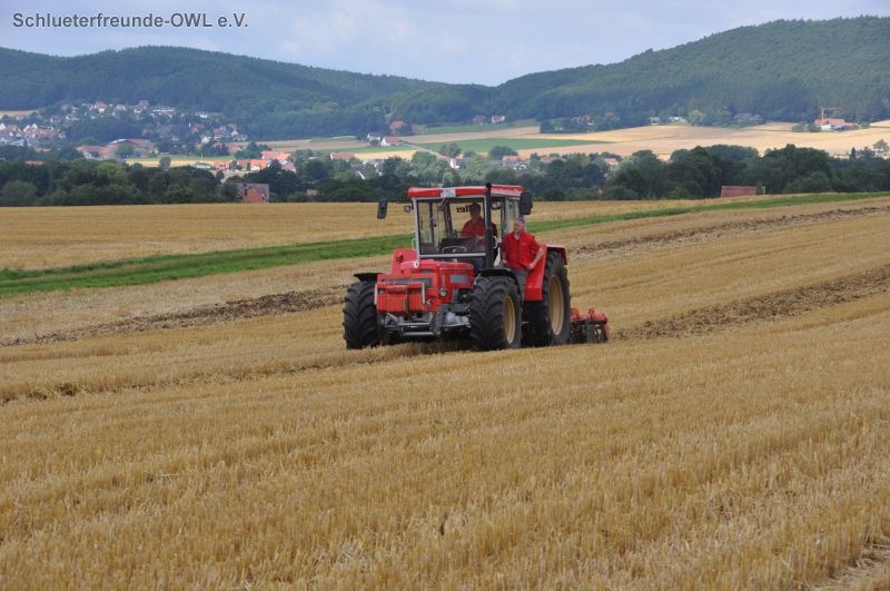 kleiner Feldtag, Bild 59