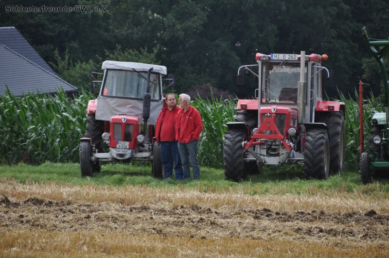 kleiner Feldtag, Bild 60