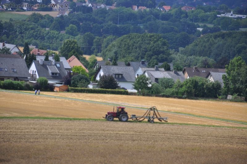 kleiner Feldtag, Bild 75