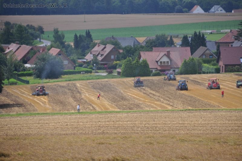 kleiner Feldtag, Bild 76