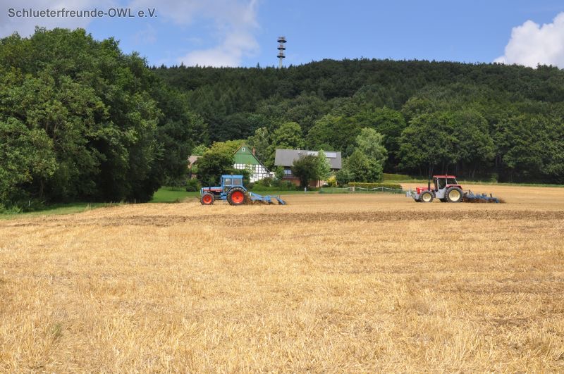kleiner Feldtag, Bild 80