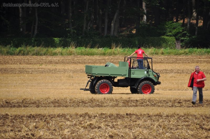 kleiner Feldtag, Bild 87