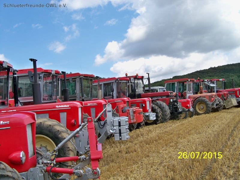 kleiner Feldtag, Bild 11