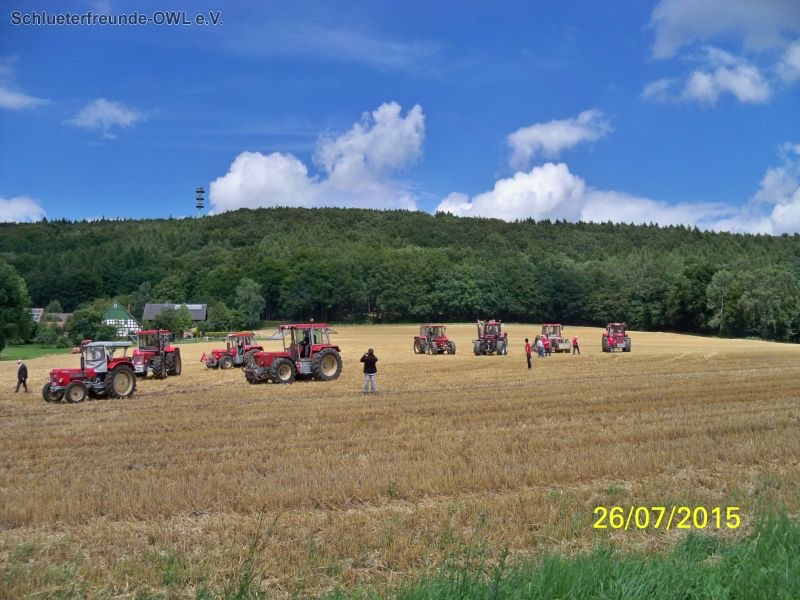 kleiner Feldtag, Bild 12