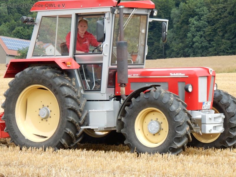 kleiner Feldtag, Bild 15