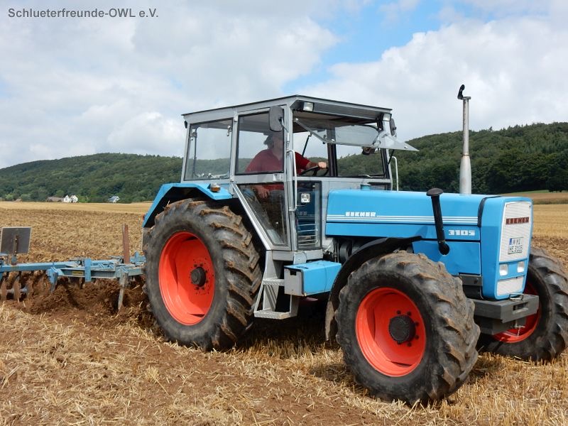 kleiner Feldtag, Bild 16