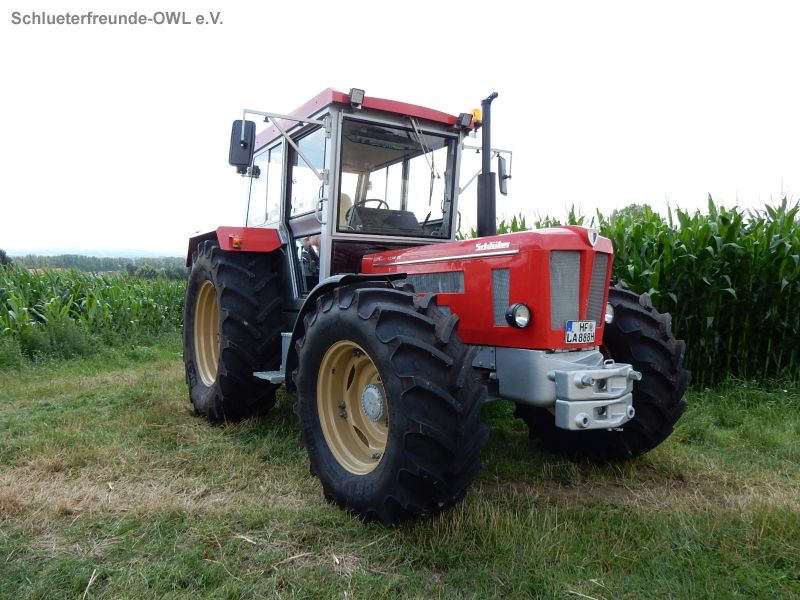 kleiner Feldtag, Bild 19
