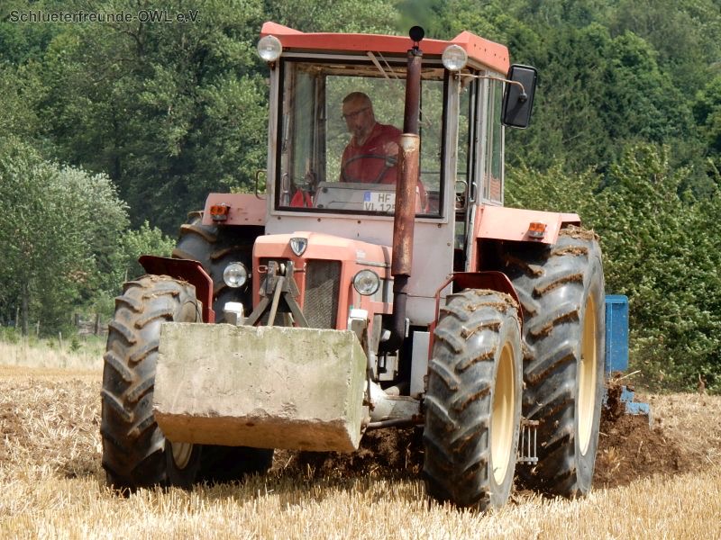 kleiner Feldtag, Bild 22