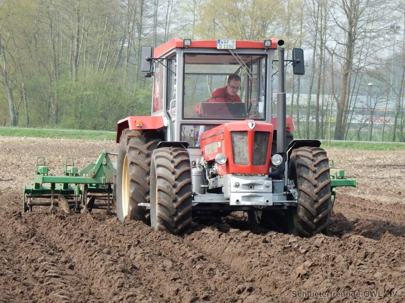 kleiner Feldtag, Bild 6