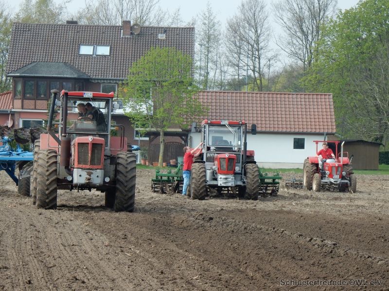 kleiner Feldtag, Bild 8