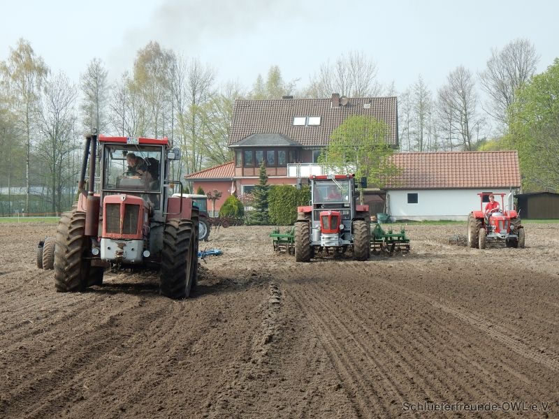 kleiner Feldtag, Bild 9