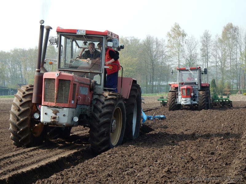 kleiner Feldtag, Bild 10
