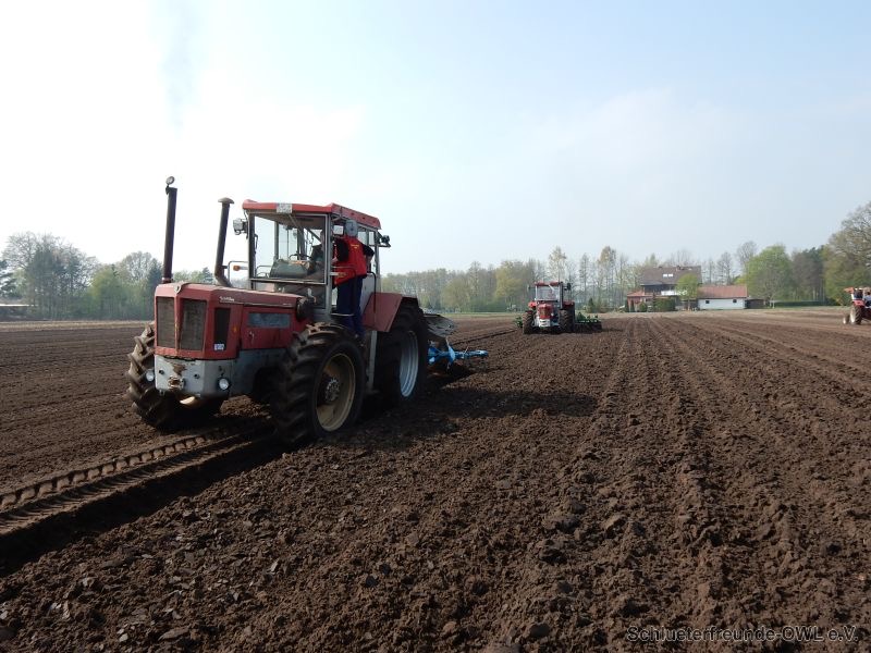 kleiner Feldtag, Bild 11