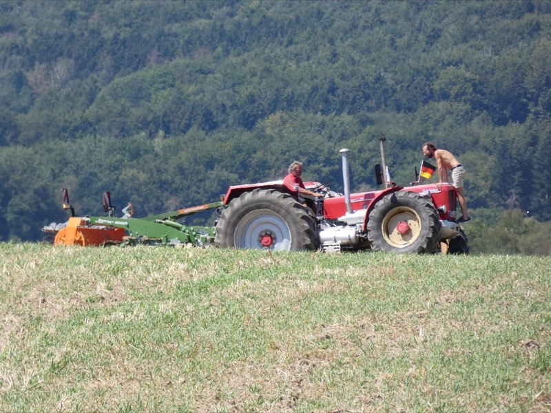 Kleiner Feldtag, Bild 5
