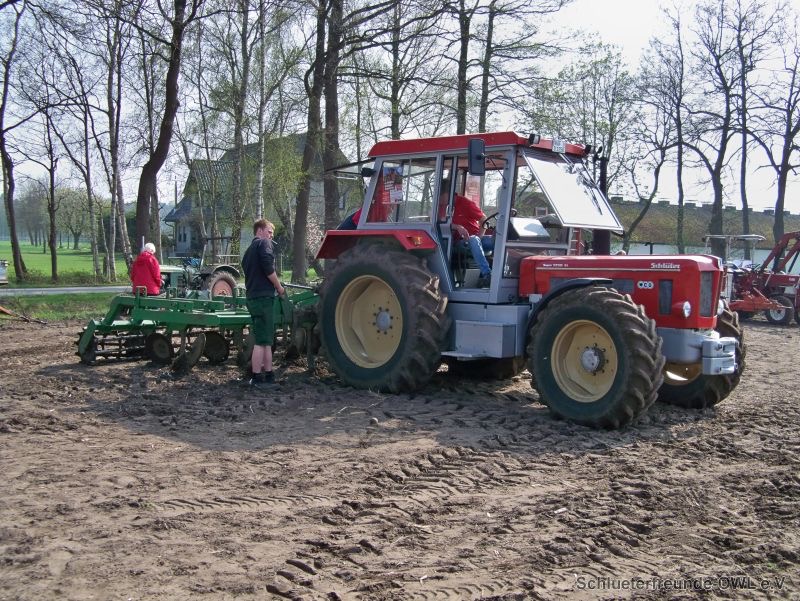 kleiner Feldtag, Bild 12